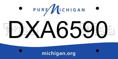 DXA6590 Michigan License Plate