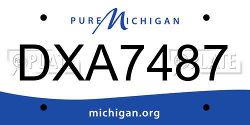 DXA7487 Michigan License Plate