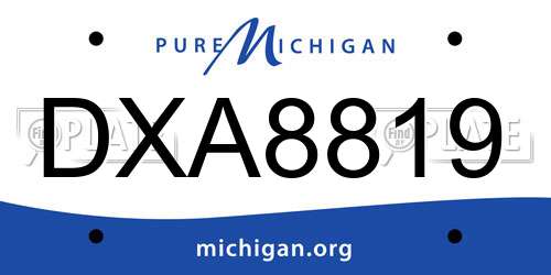 DXA8819 Michigan License Plate