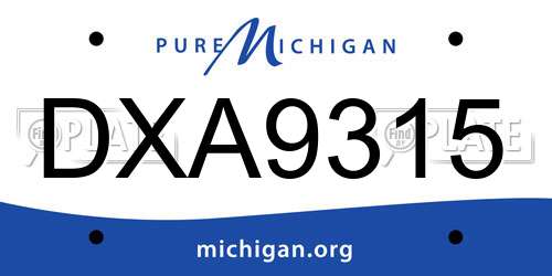 DXA9315 Michigan License Plate