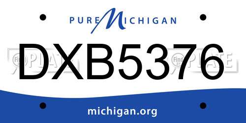 DXB5376 Michigan License Plate