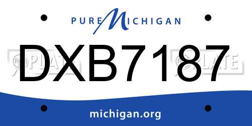 DXB7187 Michigan License Plate