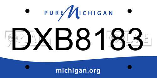 DXB8183 Michigan License Plate