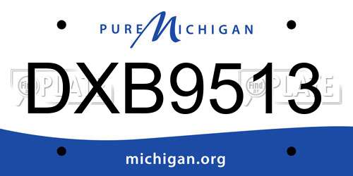 DXB9513 Michigan License Plate