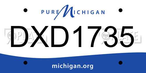 DXD1735 Michigan License Plate