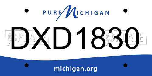 DXD1830 Michigan License Plate