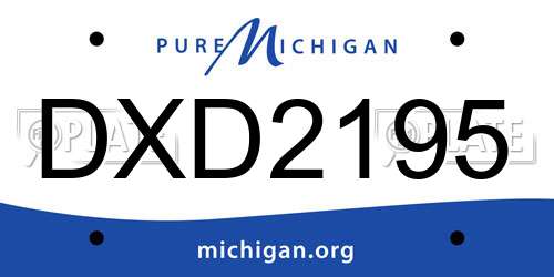 DXD2195 Michigan License Plate