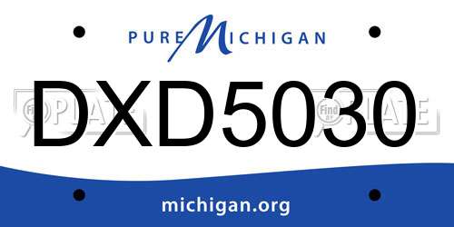 DXD5030 Michigan License Plate