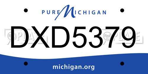 DXD5379 Michigan License Plate