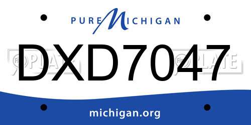 DXD7047 Michigan License Plate