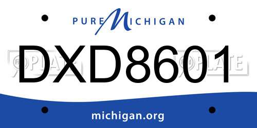 DXD8601 Michigan License Plate