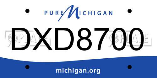 DXD8700 Michigan License Plate