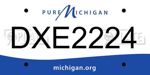 DXE2224 Michigan License Plate