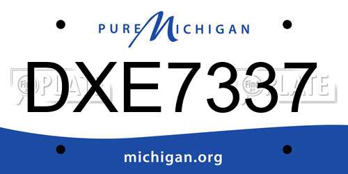 DXE7337 Michigan License Plate