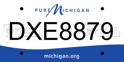 DXE8879 Michigan License Plate