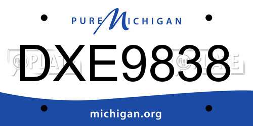 DXE9838 Michigan License Plate