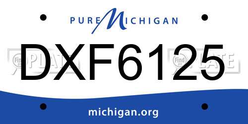 DXF6125 Michigan License Plate