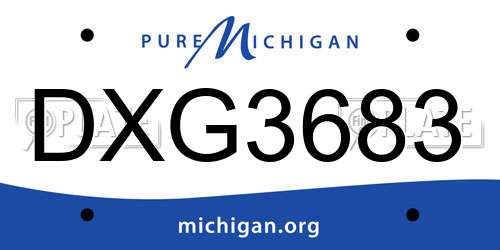 DXG3683 Michigan License Plate