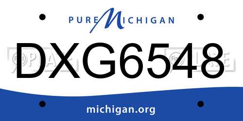 DXG6548 Michigan License Plate