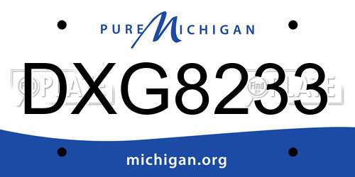 DXG8233 Michigan License Plate