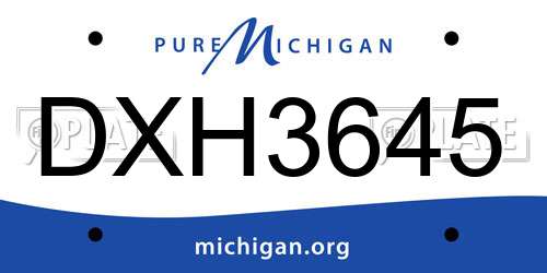 DXH3645 Michigan License Plate