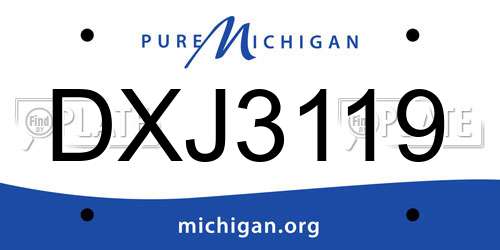 DXJ3119 Michigan License Plate