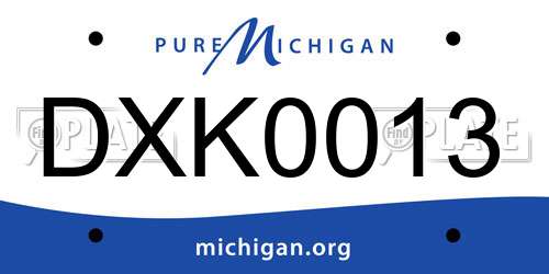 DXK0013 Michigan License Plate