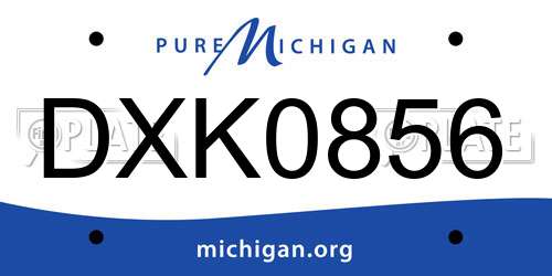DXK0856 Michigan License Plate