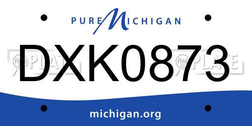DXK0873 Michigan License Plate
