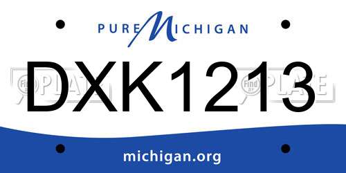 DXK1213 Michigan License Plate