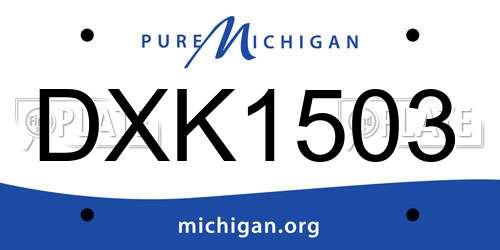 DXK1503 Michigan License Plate
