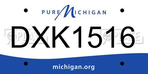 DXK1516 Michigan License Plate
