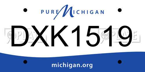 DXK1519 Michigan License Plate