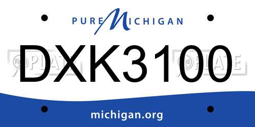 DXK3100 Michigan License Plate