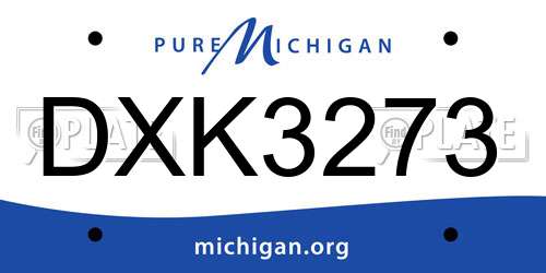 DXK3273 Michigan License Plate