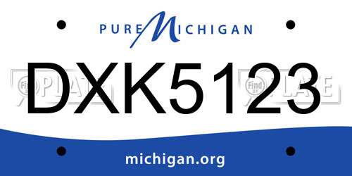 DXK5123 Michigan License Plate