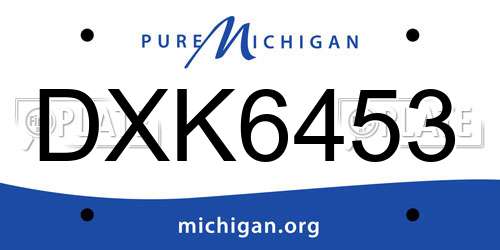 DXK6453 Michigan License Plate