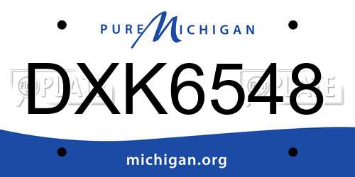 DXK6548 Michigan License Plate