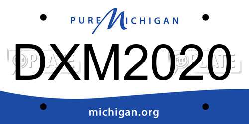 DXM2020 Michigan License Plate