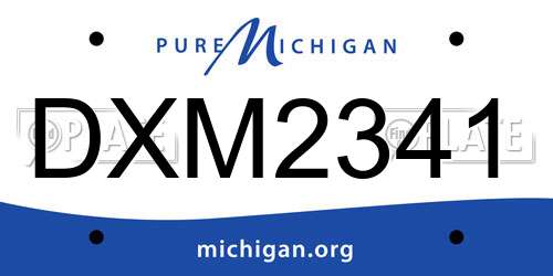 DXM2341 Michigan License Plate