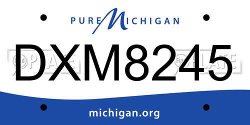 DXM8245 Michigan License Plate