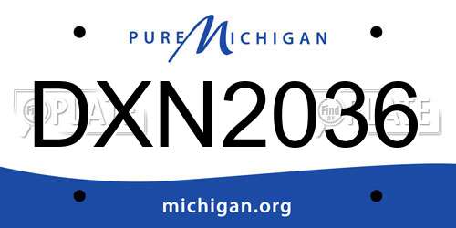 DXN2036 Michigan License Plate
