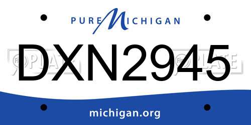 DXN2945 Michigan License Plate