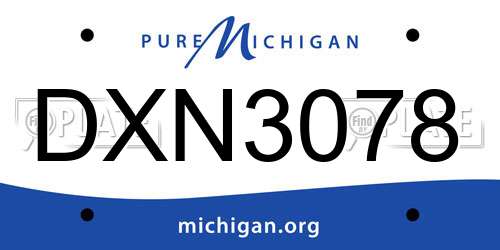 DXN3078 Michigan License Plate