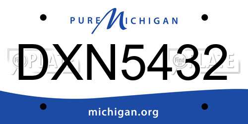 DXN5432 Michigan License Plate