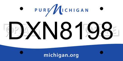 DXN8198 Michigan License Plate