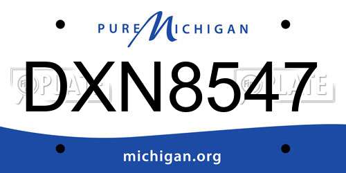 DXN8547 Michigan License Plate