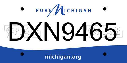 DXN9465 Michigan License Plate