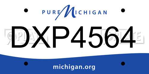 DXP4564 Michigan License Plate