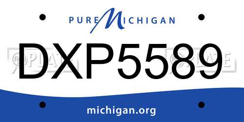 DXP5589 Michigan License Plate